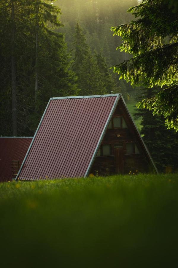 Complex Malina Pamporovo Villa Bagian luar foto
