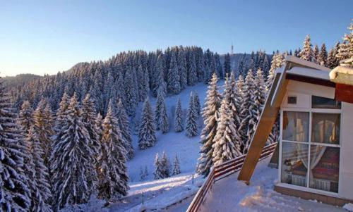 Complex Malina Pamporovo Villa Bagian luar foto