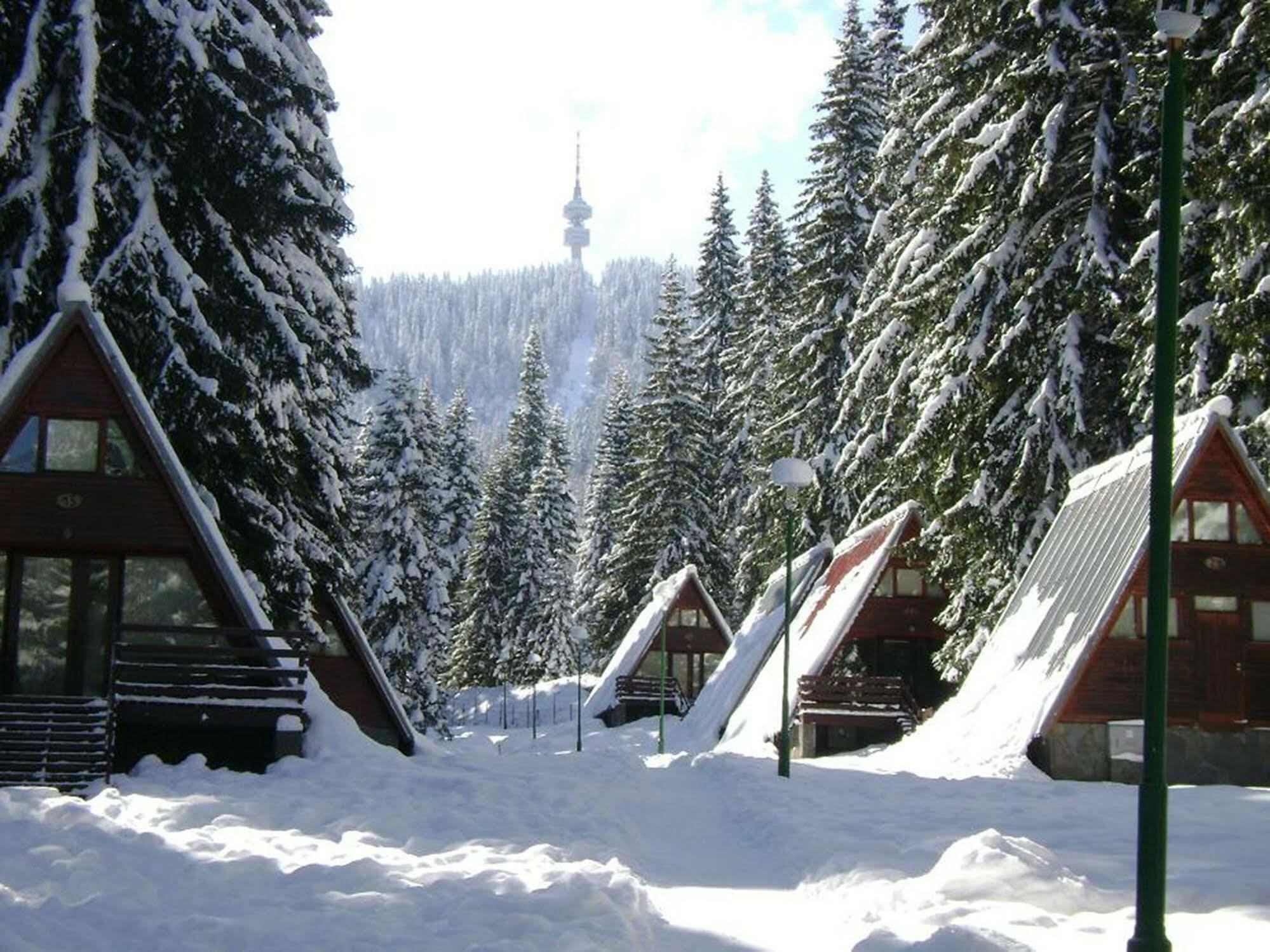Complex Malina Pamporovo Villa Bagian luar foto