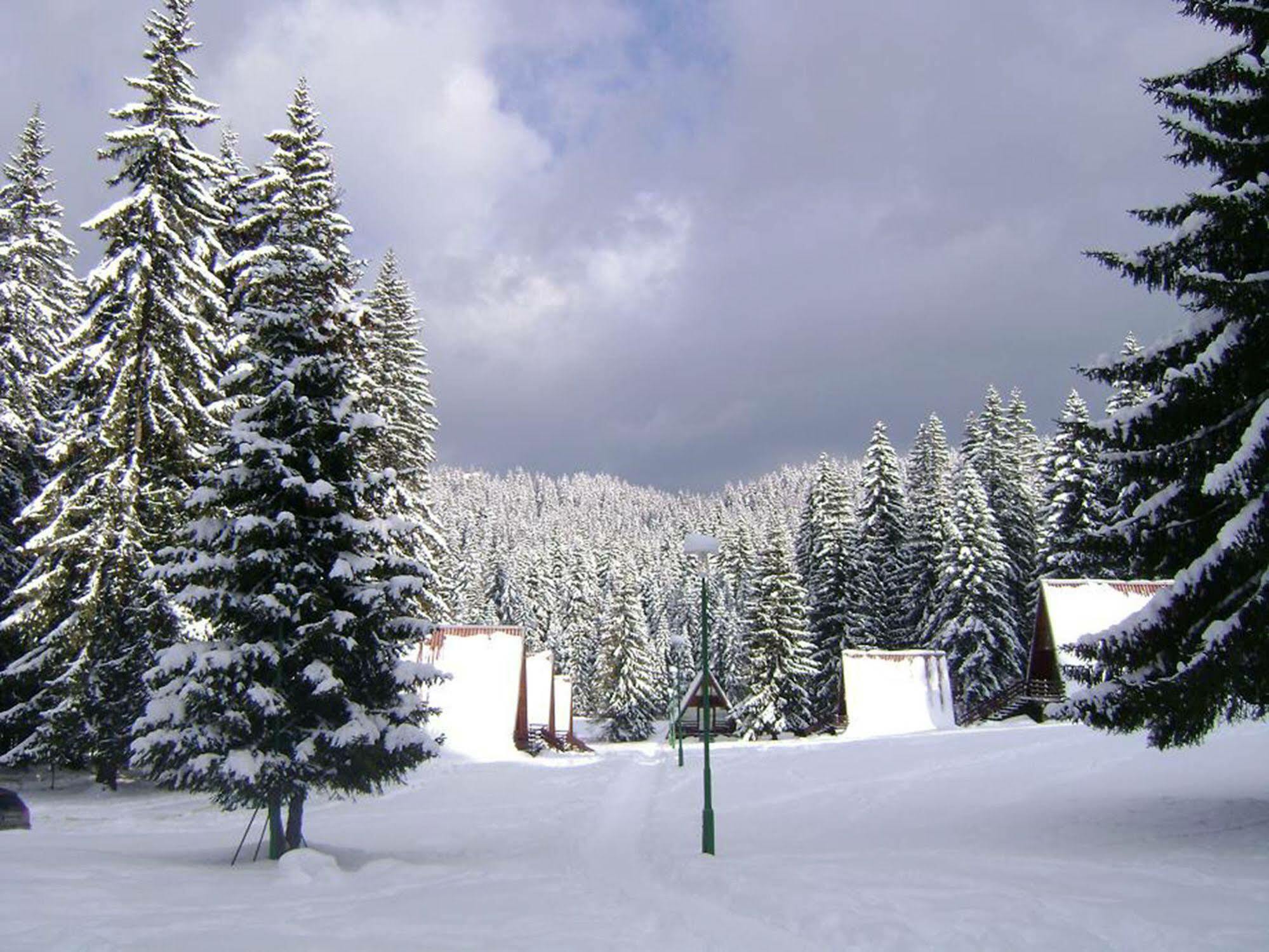 Complex Malina Pamporovo Villa Bagian luar foto