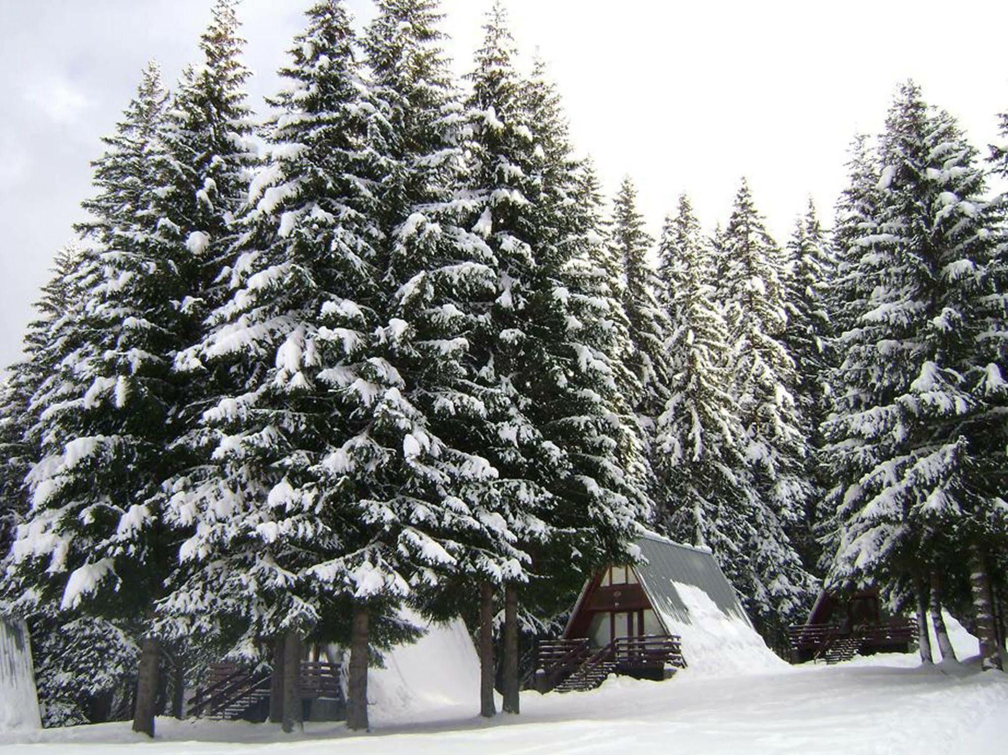 Complex Malina Pamporovo Villa Bagian luar foto