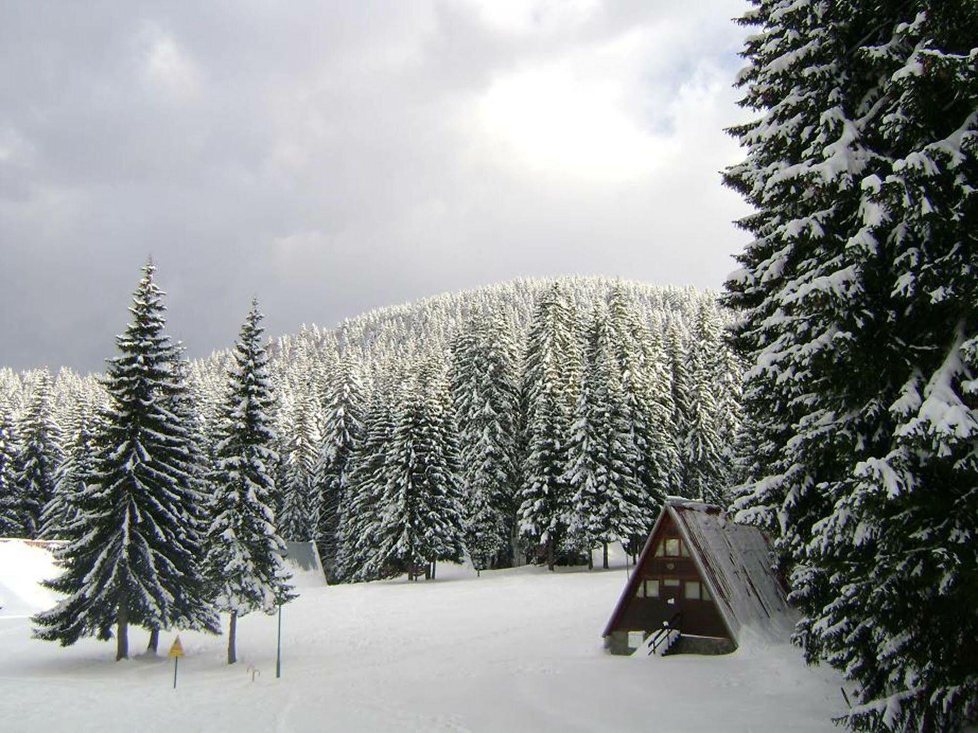 Complex Malina Pamporovo Villa Bagian luar foto